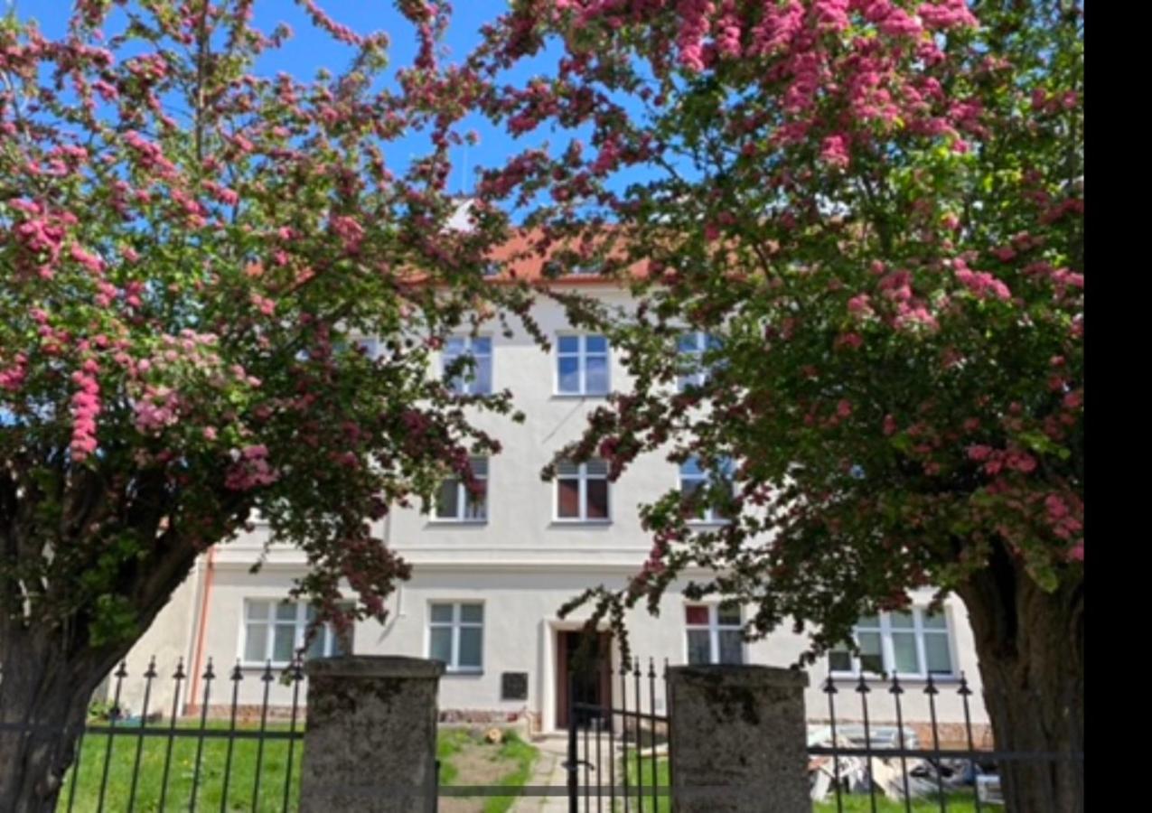 Apartament 3 Pokojowy Z Parkingiem Daire Zabkowice Slaskie Dış mekan fotoğraf
